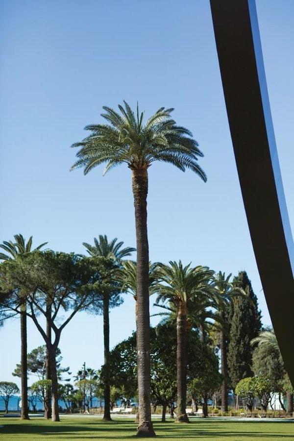 Le Chateau - The Most Beautiful Sight In Old Town, Private Terrace Nizza Esterno foto